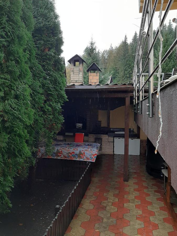 Vila Dolly Hotel Buşteni Exterior foto